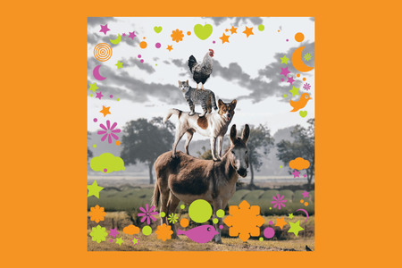 Simbolična fotografija