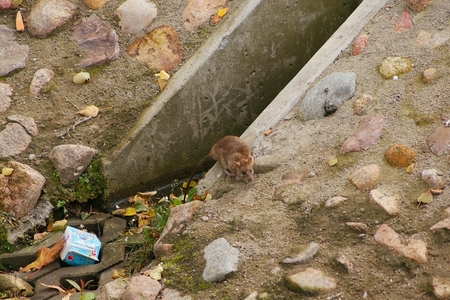 Simbolična fotografija