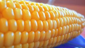 Simbolična fotografija