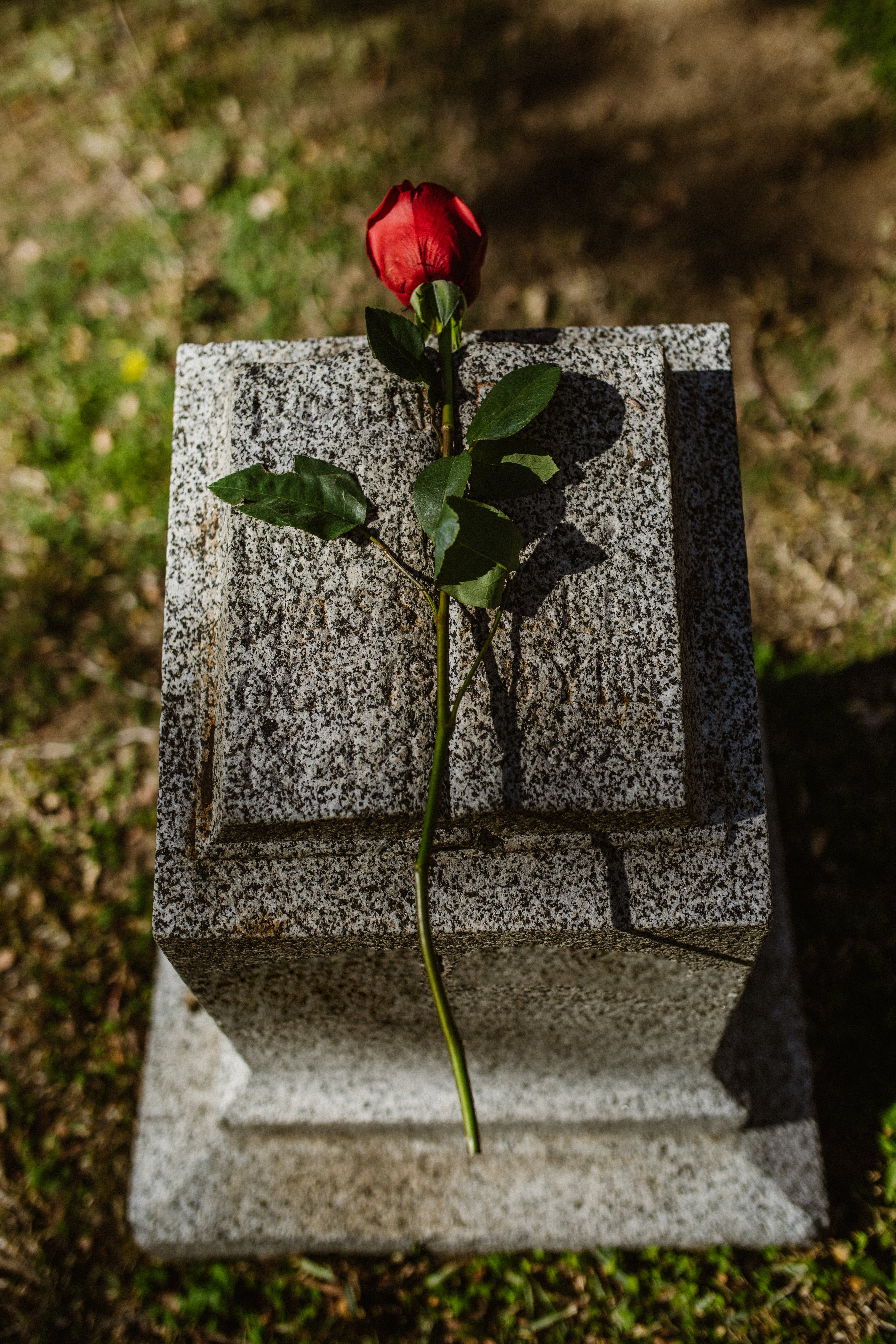 pexels-rdne-stock-project-6841683