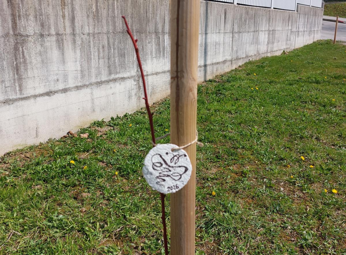 20260320_medovite2026_4_obrezana